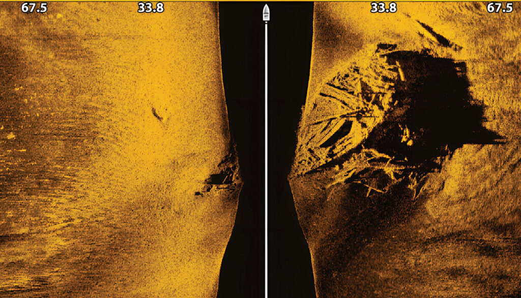humminbird