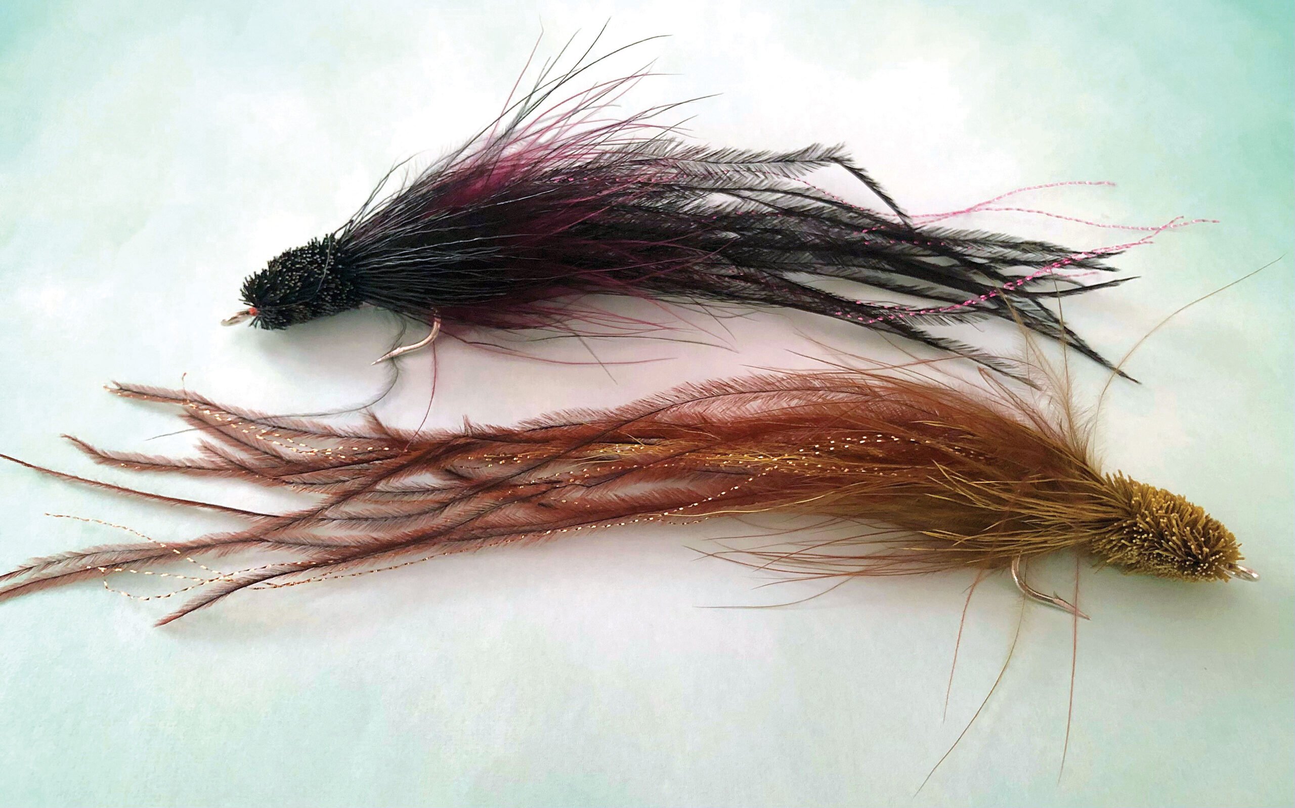 Tabory Snake Fly