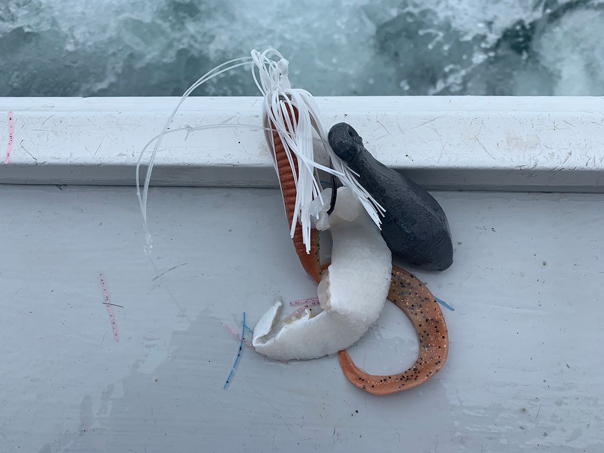 fishbites