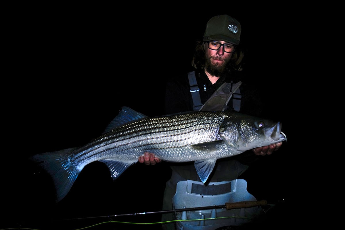 striper