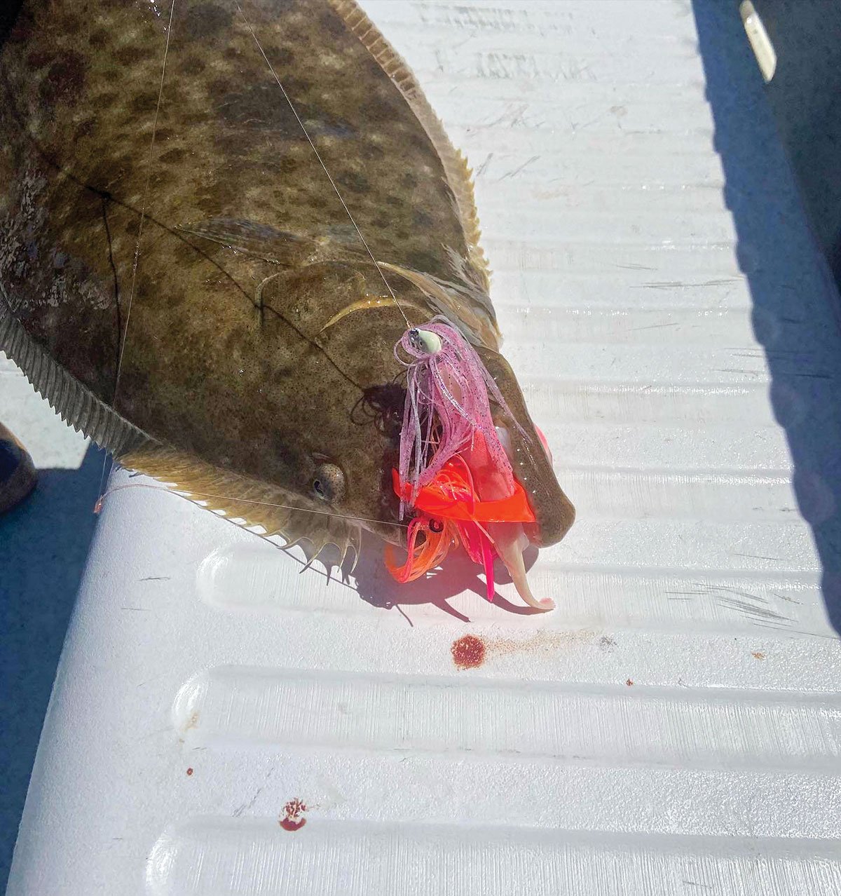 Poison tail jigs
