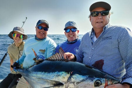 Bluefin-teamwork
