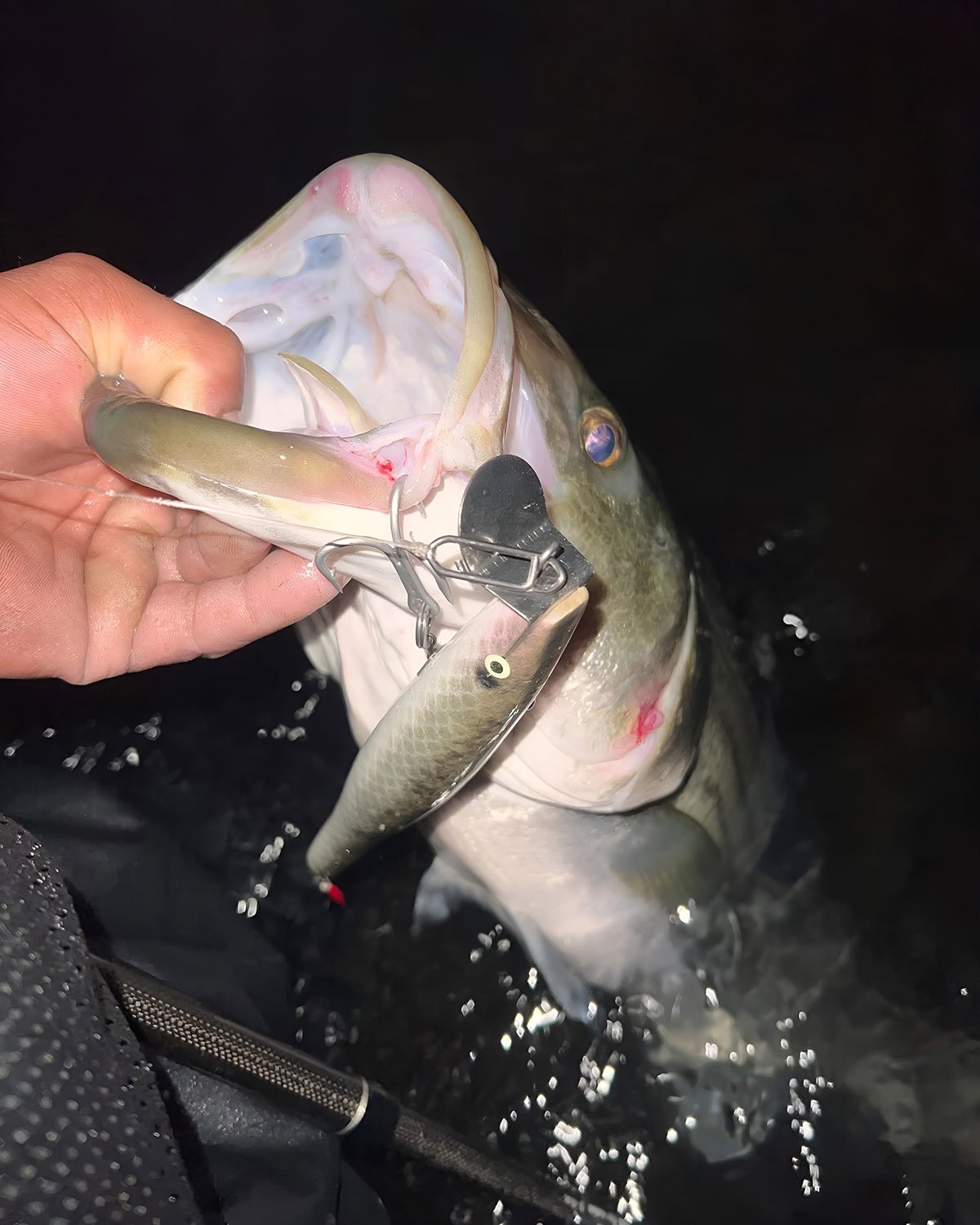 metal-lip-swimmer