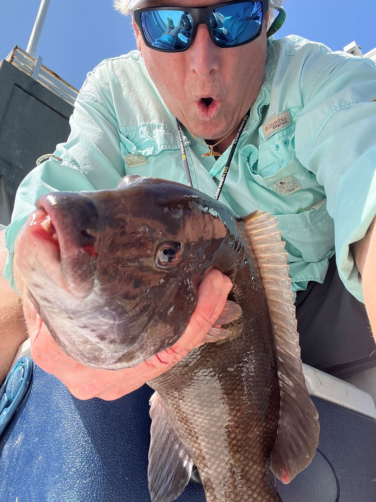 tautog