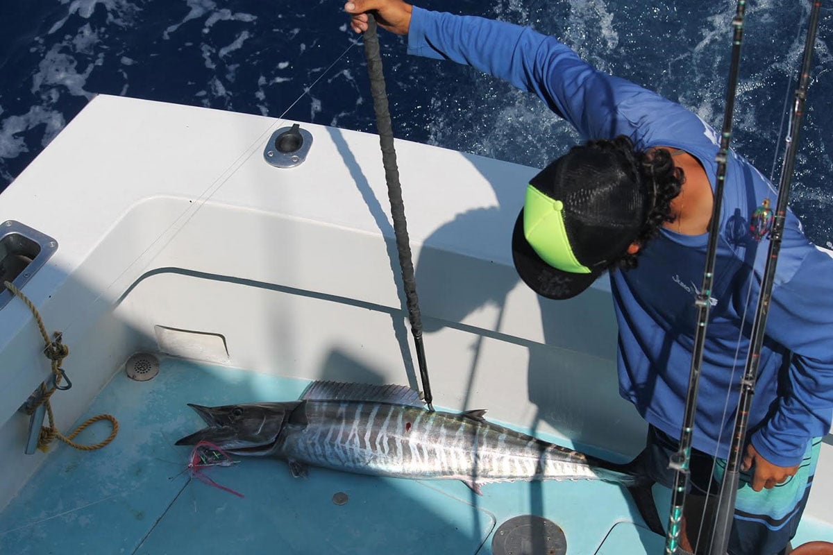 RICKY-WAHOO