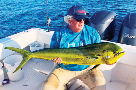 mahi