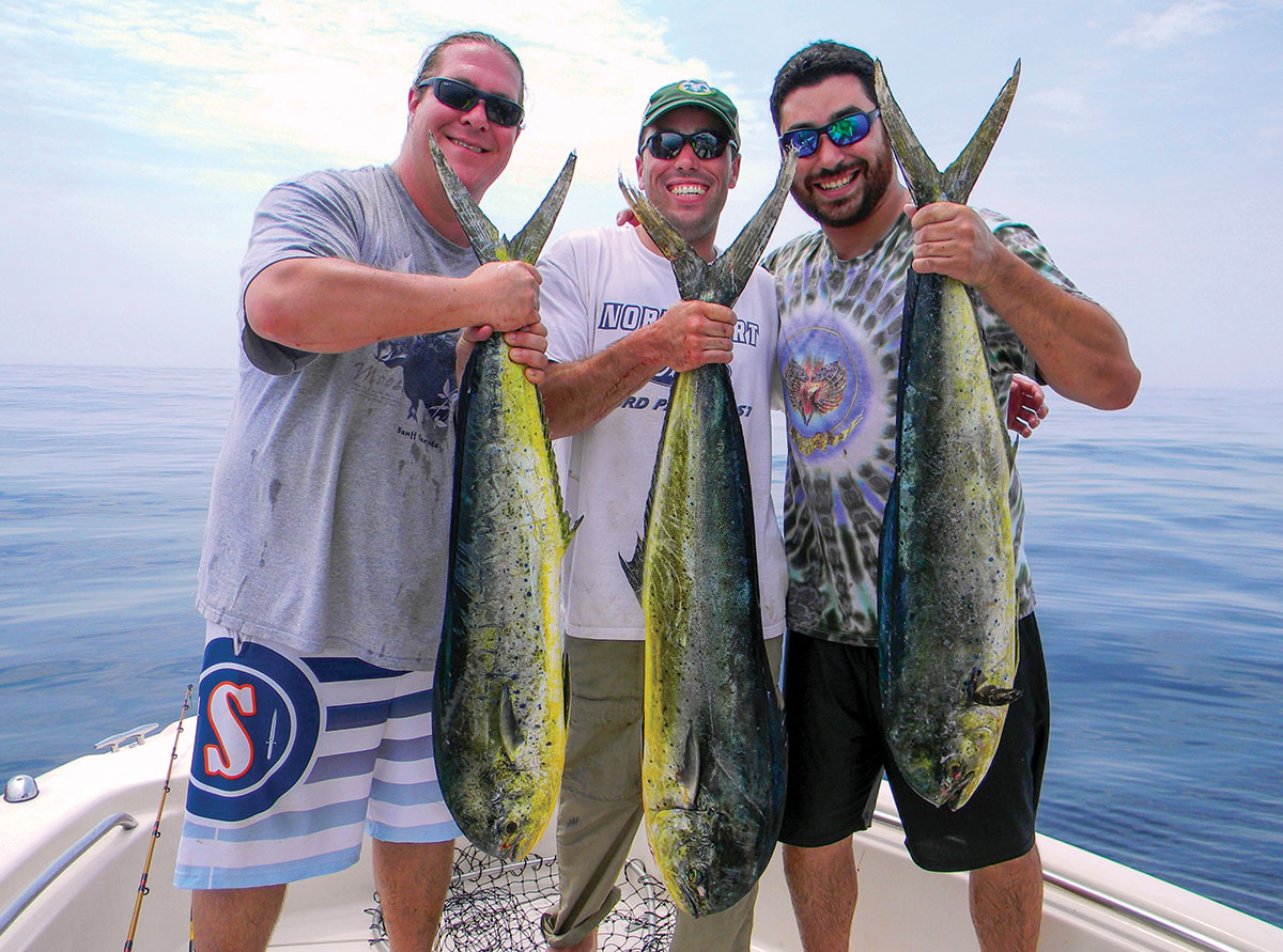 three-mahi