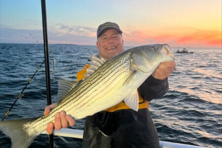 summer-striper