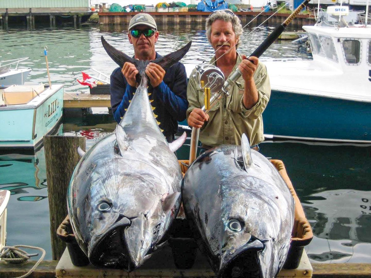 anglers