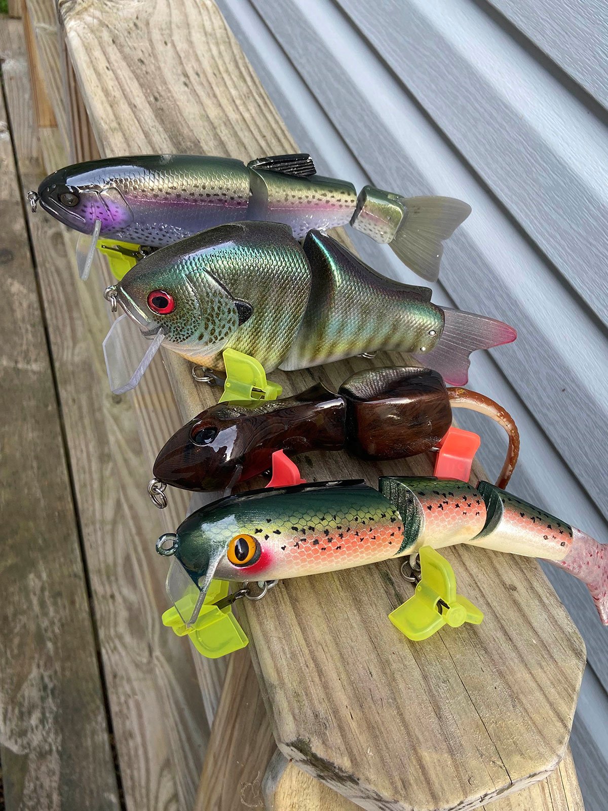wakebait