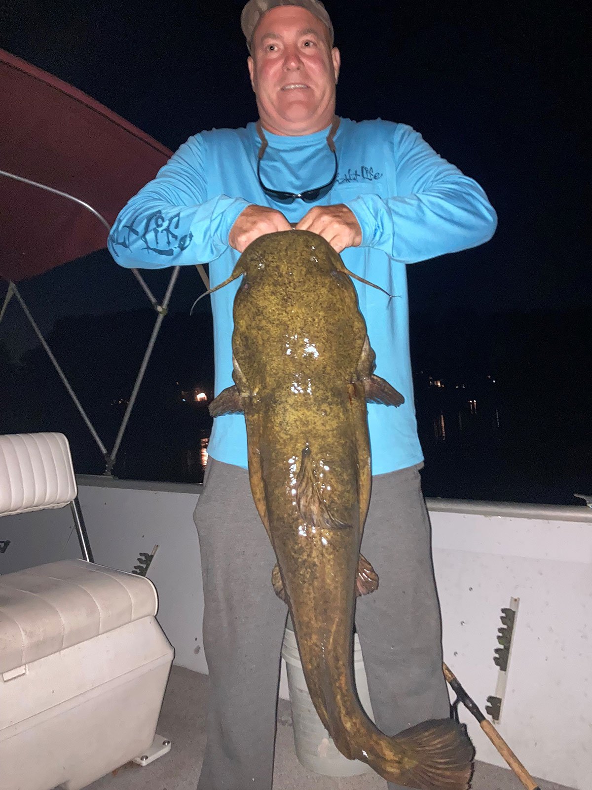 flathead