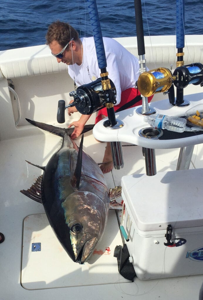 A bigeye tuna