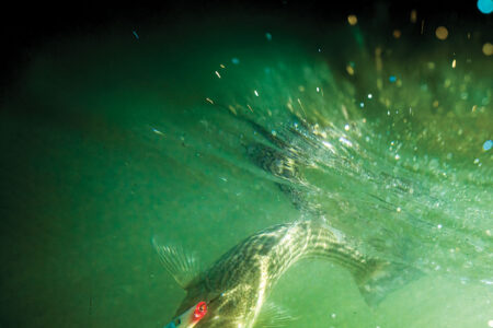 deep dive