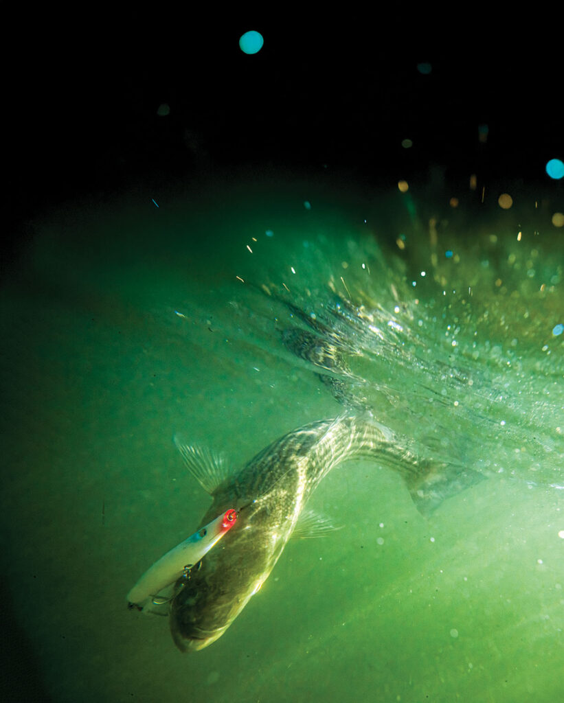 deep dive
