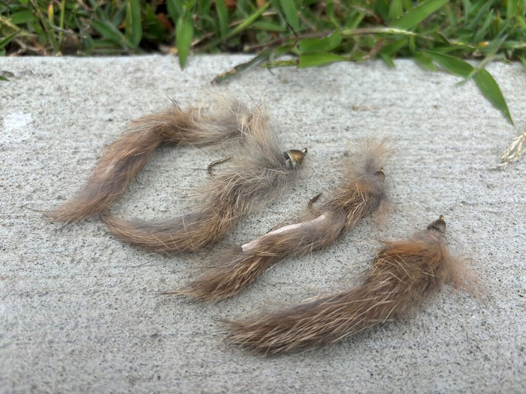 Rabbit-Strip-Jiggy
