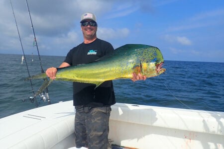mahi