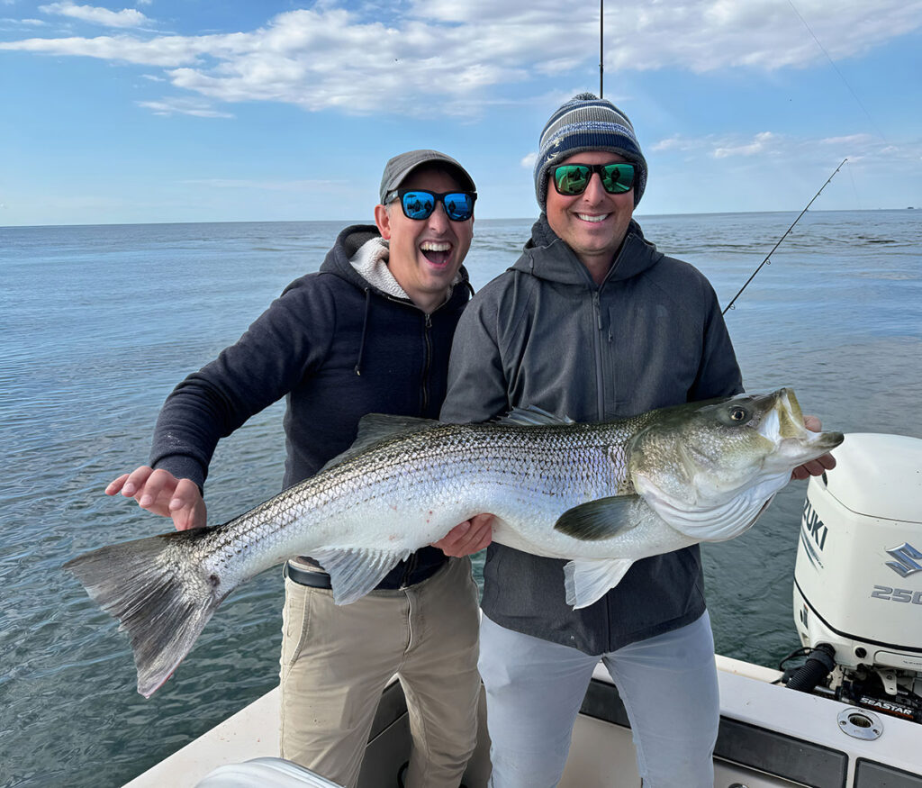 stripers