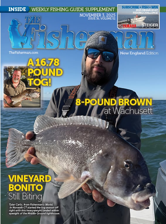 New England Current Issue