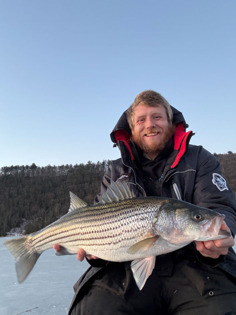 stripers