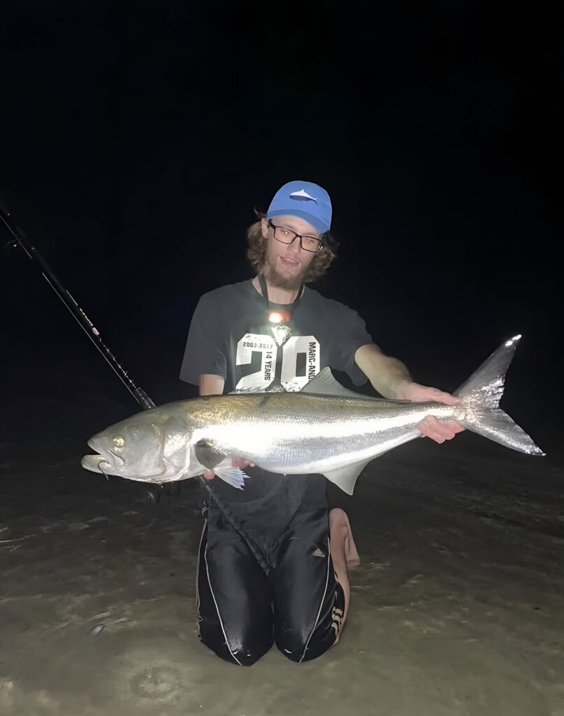 one-fish