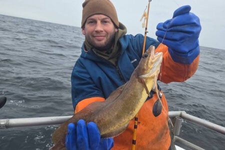 king cod