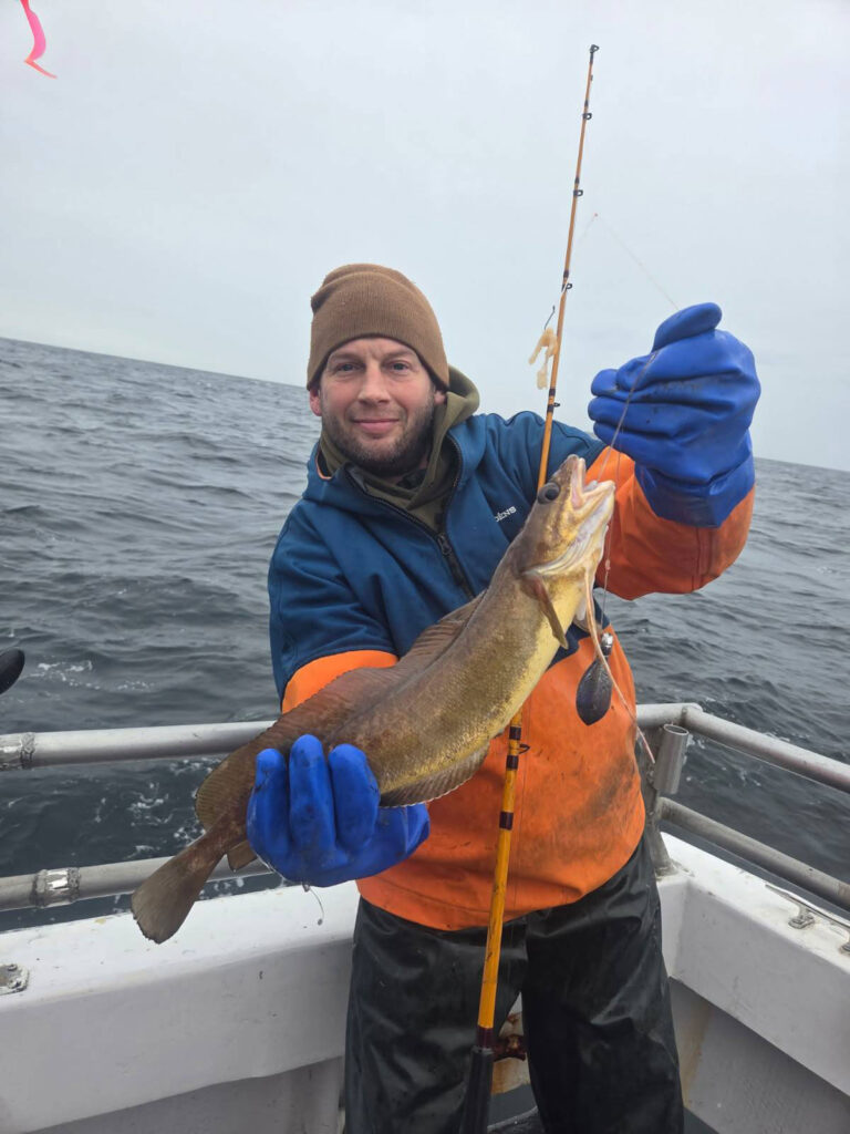 king cod