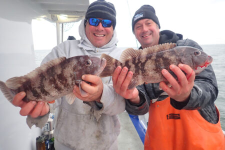 tautog-season