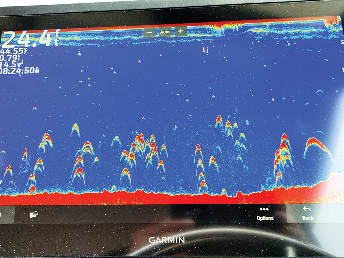 Fishfinder-Garmin