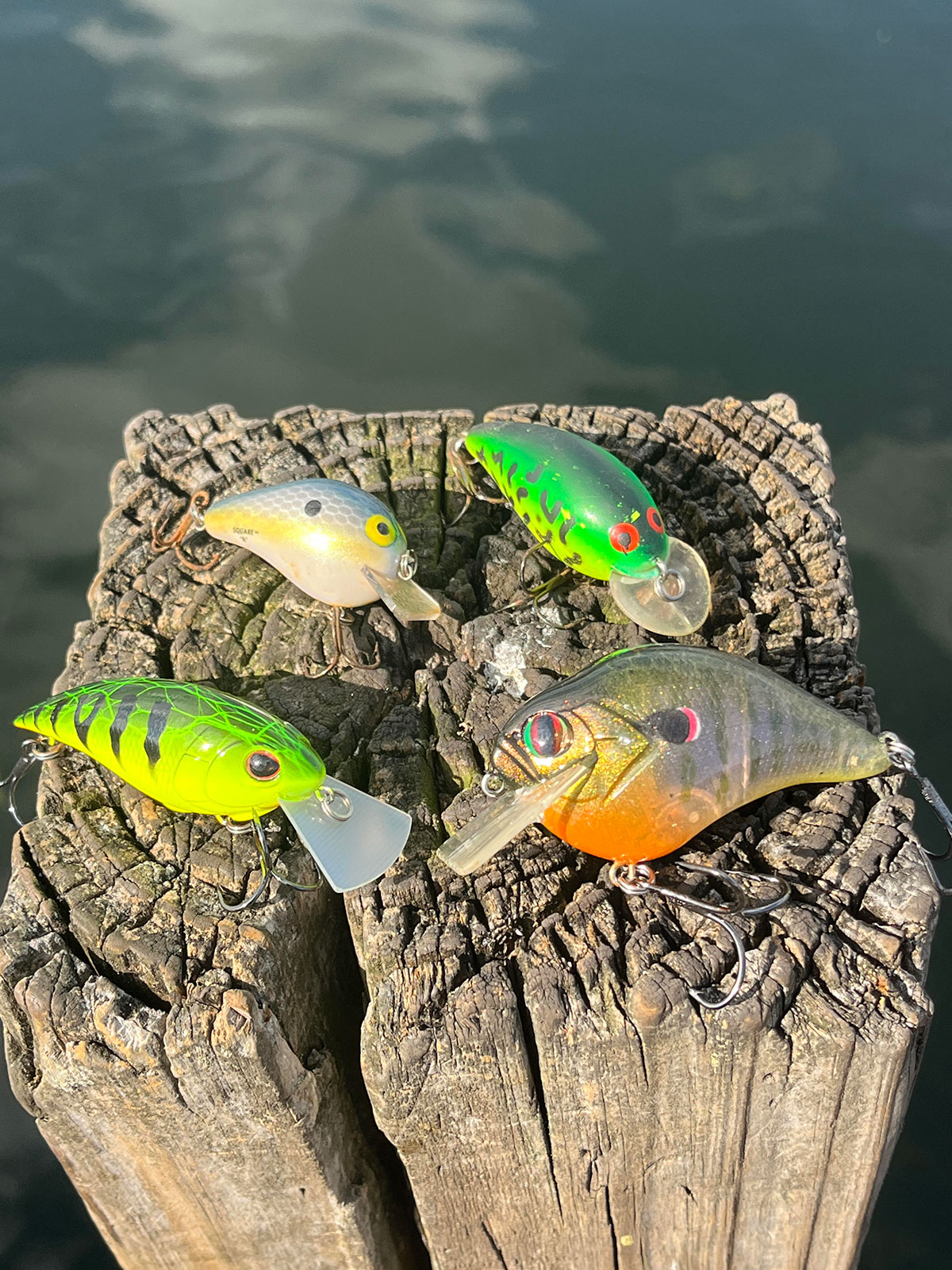 lures