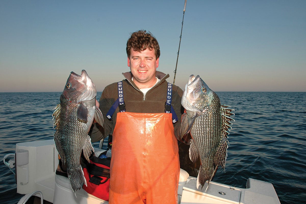 big-fish