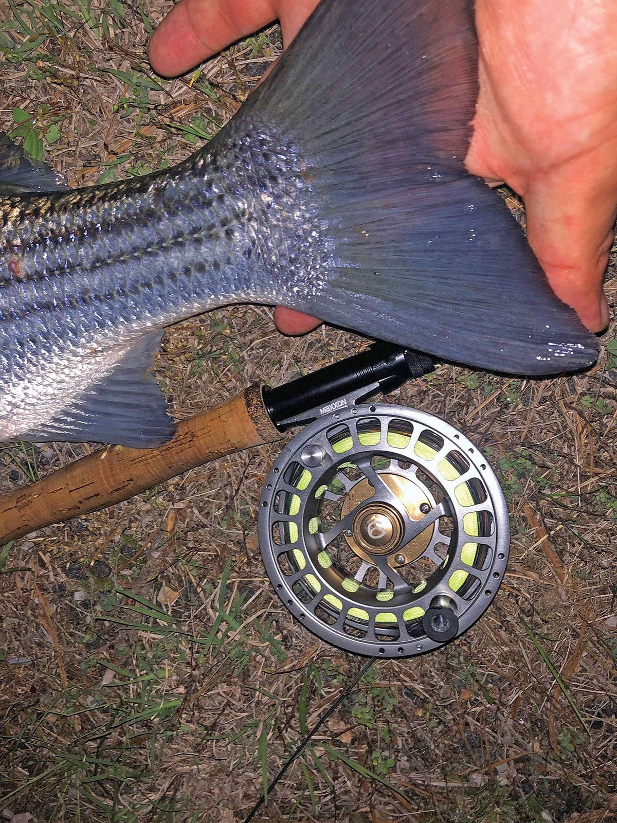 fly-reel
