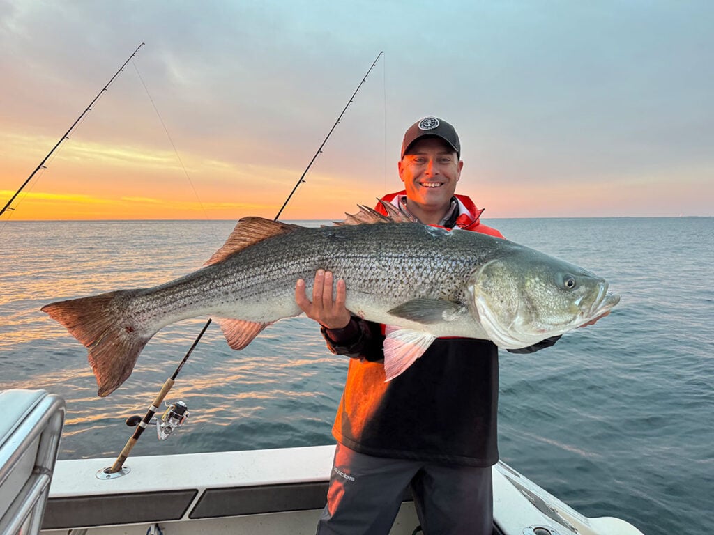cow-stripers