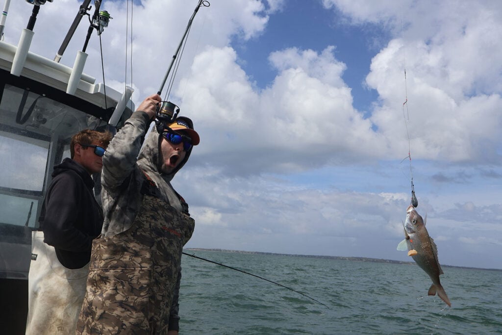 Peconic Porgies