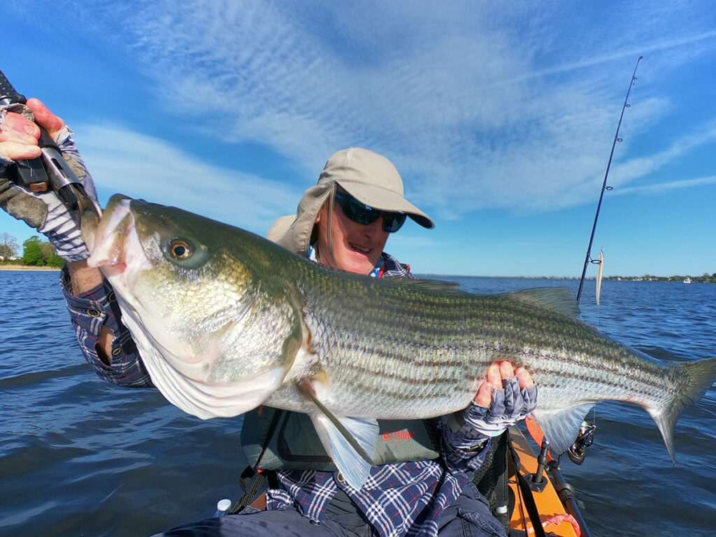biggest-striper