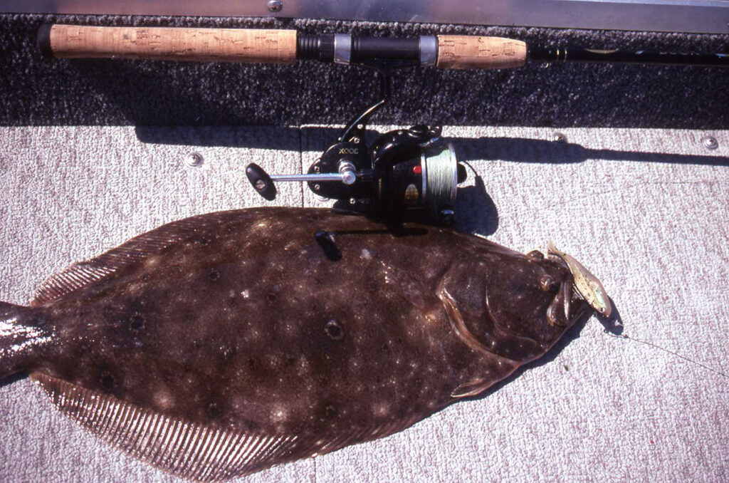 bay tips