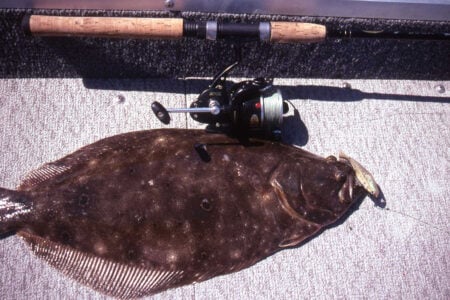 bay tips