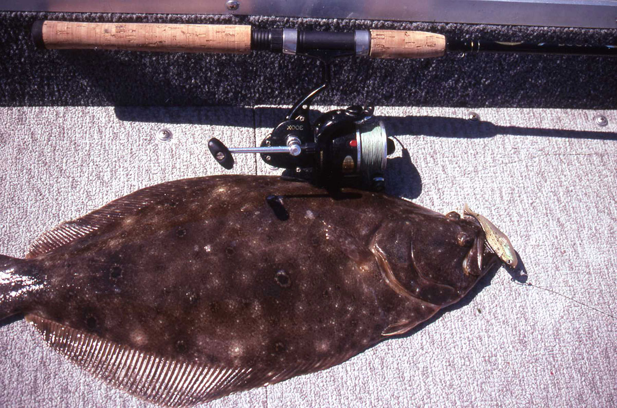bay tips