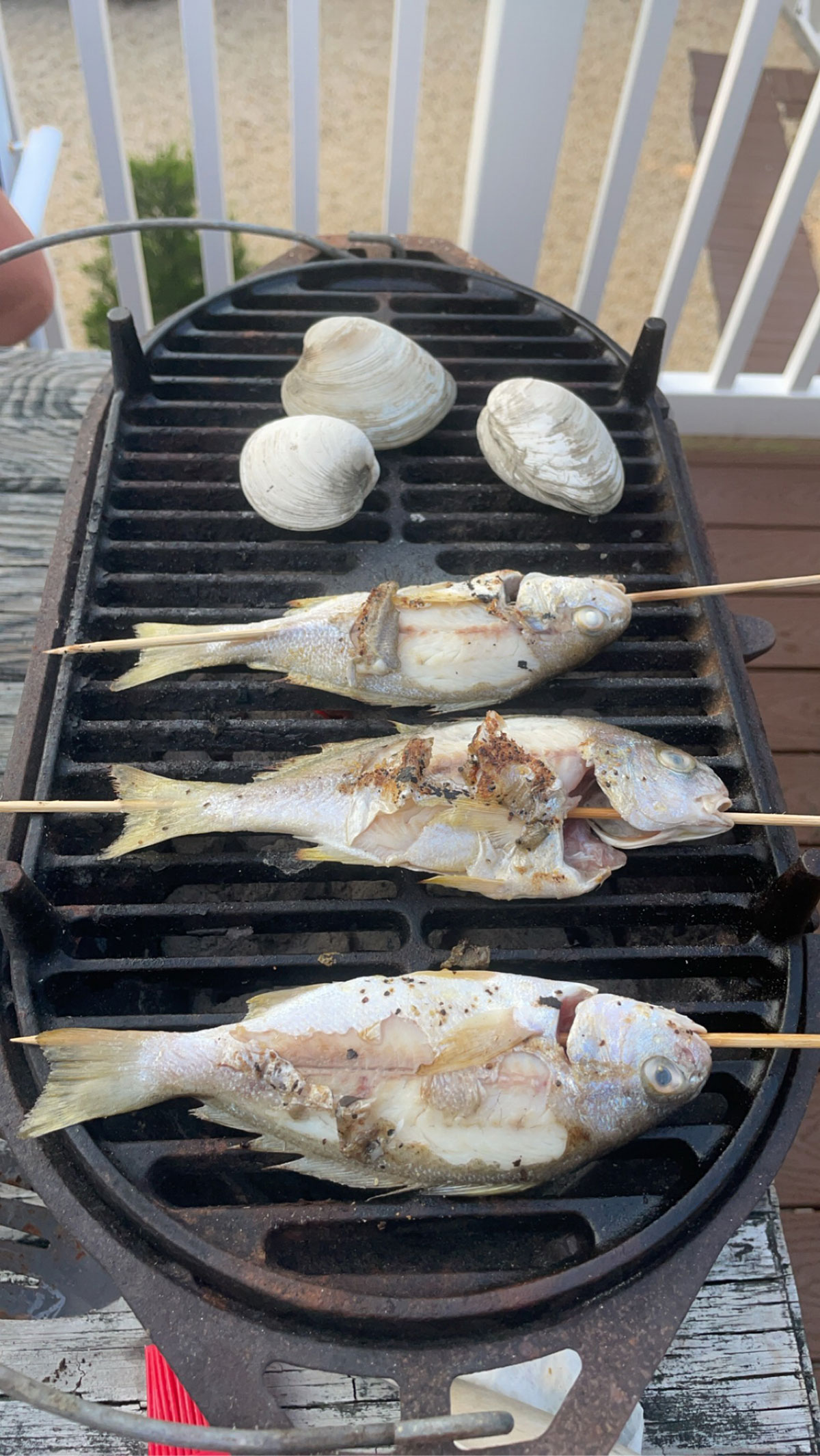 grill