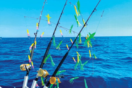 rigged for tuna