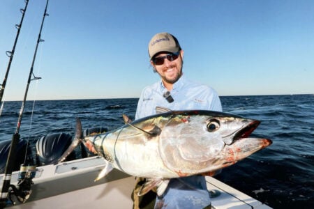 bluefin tuna