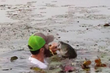 one fish