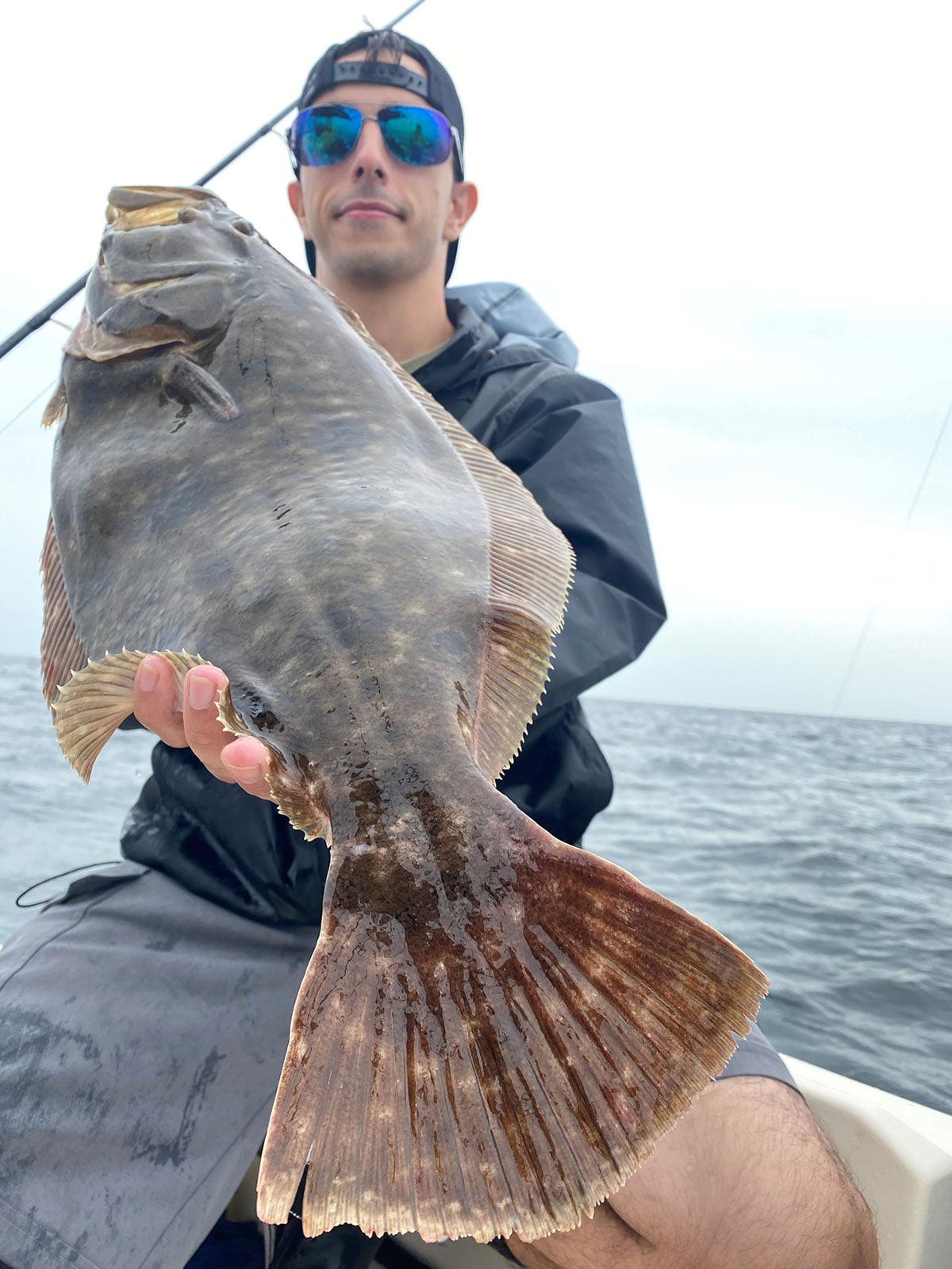 big fluke