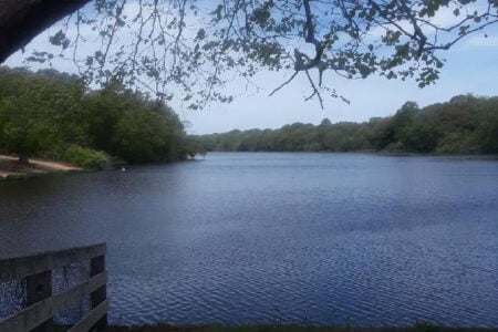 kalers pond