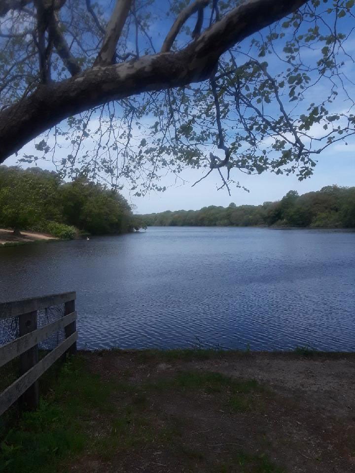 kalers pond