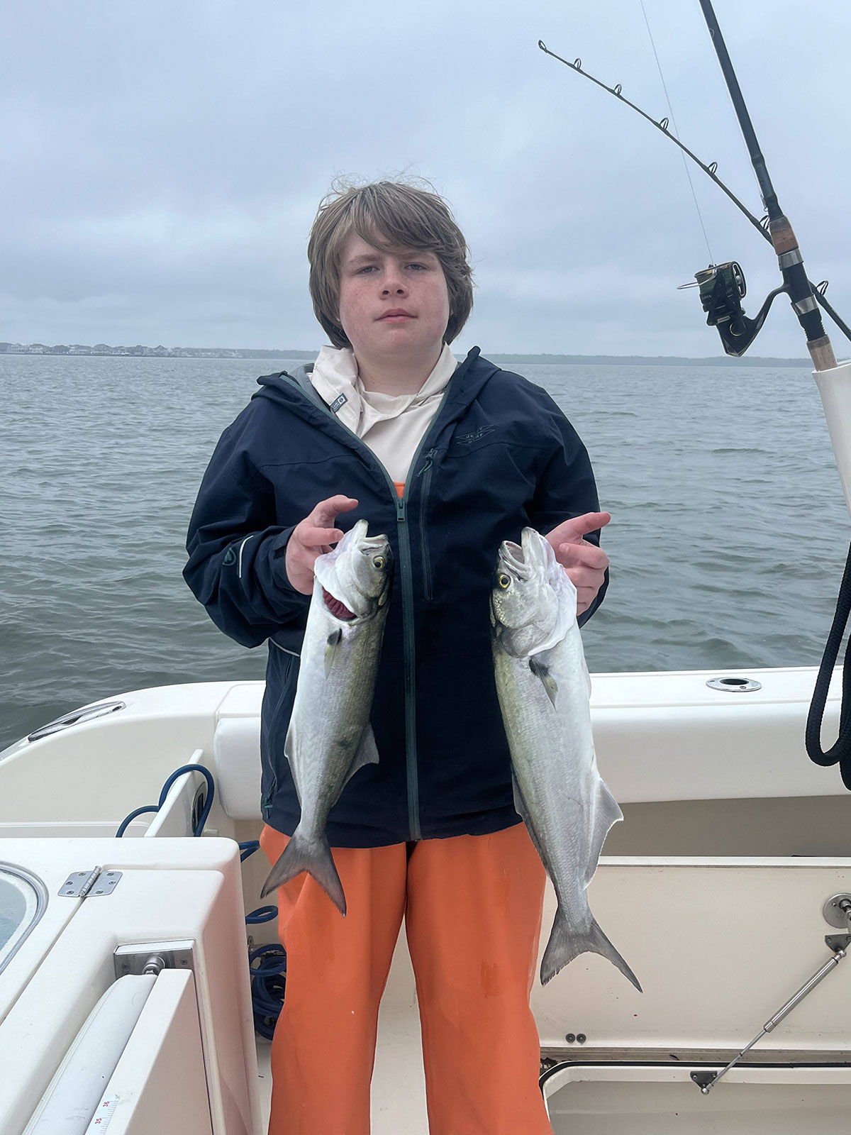 bluefish