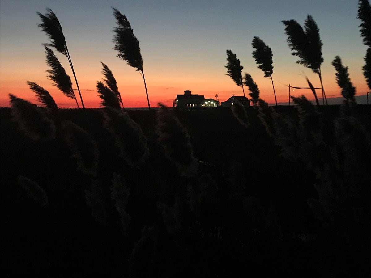 sunset