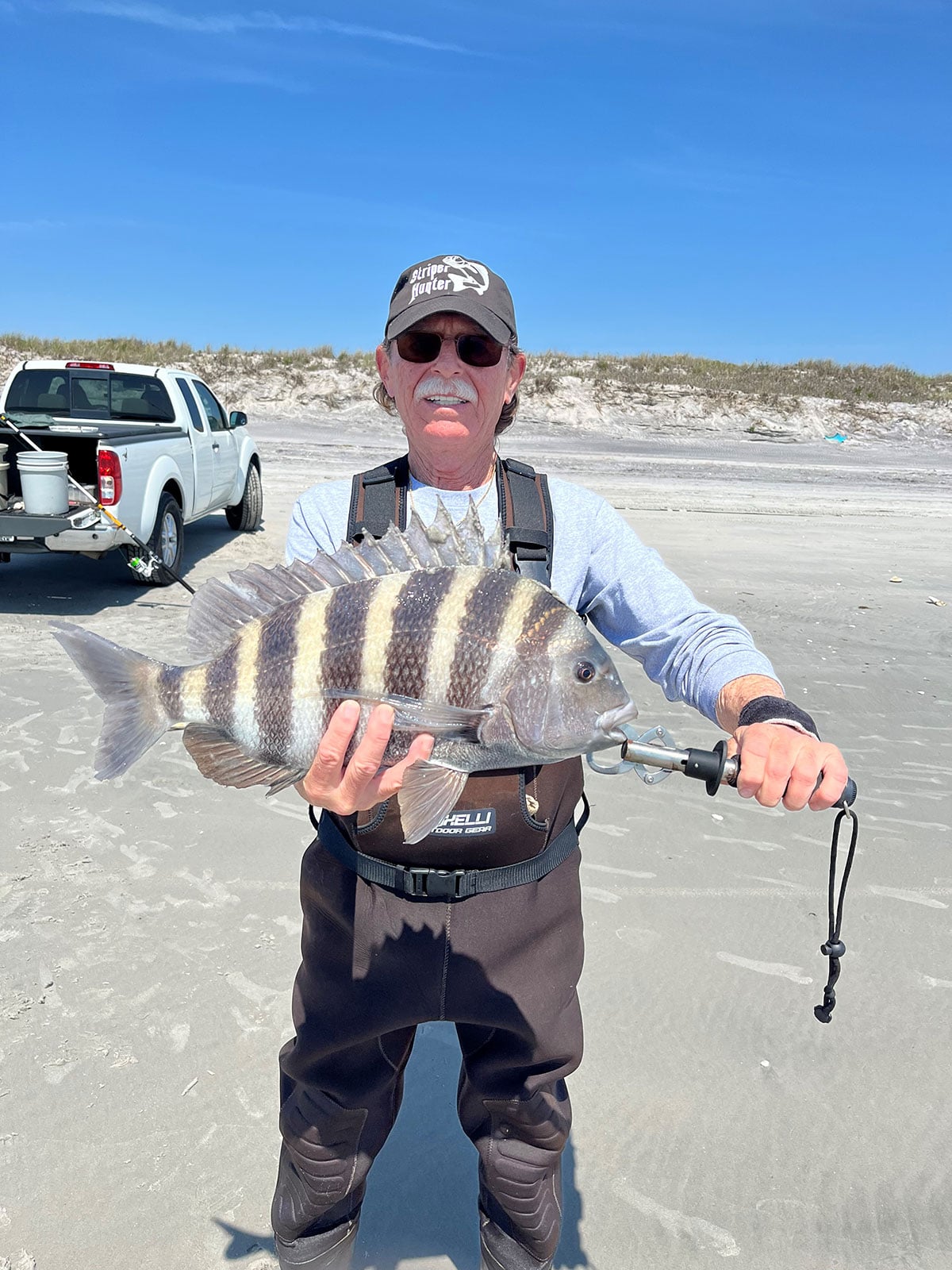 sheepshead