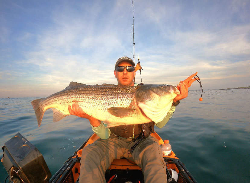 summer bass