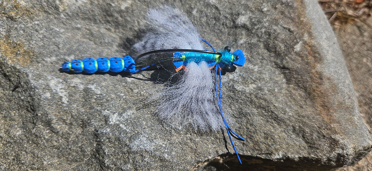 fly