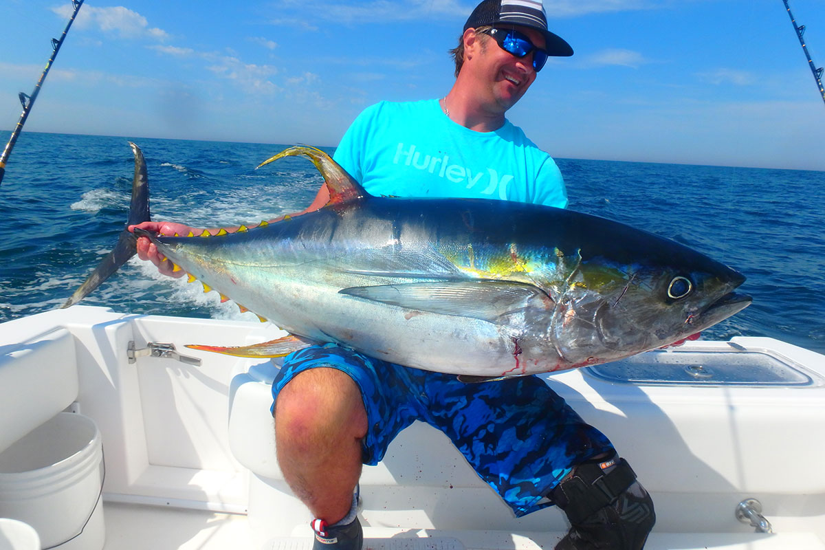 yellowfin